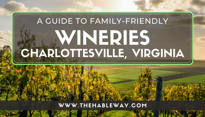 Kid-Friendly Wineries on the Monticello Wine Trail Around Charlottesville, VA