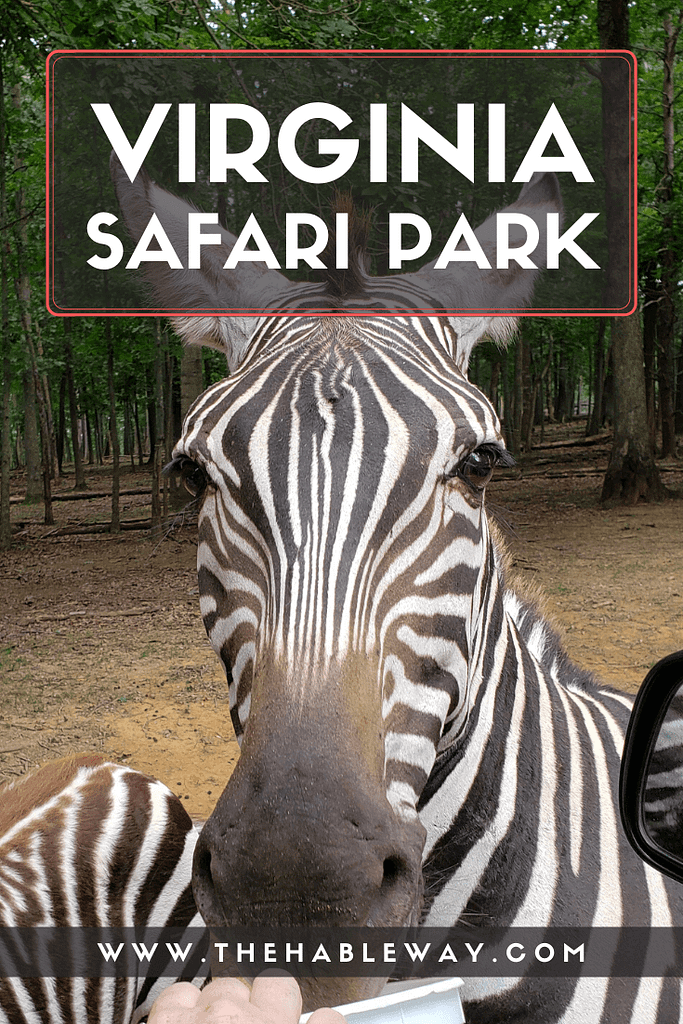 virginia safari park by owner