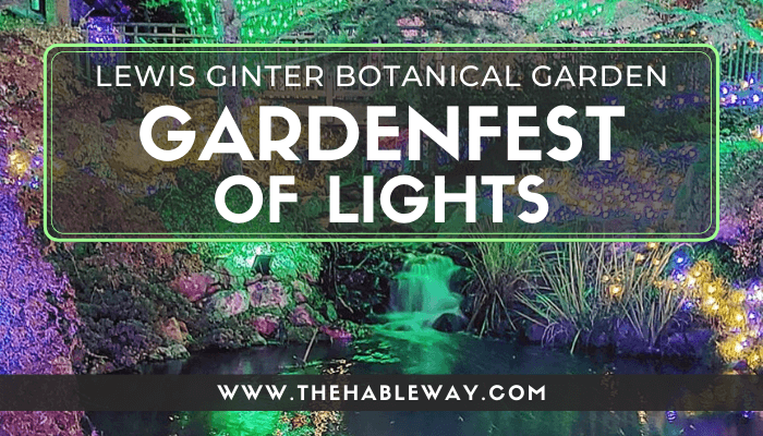 Magic in the Air – GardenFest of Lights, Richmond, VA