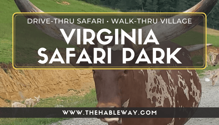Virginia Safari Park – A Unique Drive-Thru Safari in Natural Bridge, VA