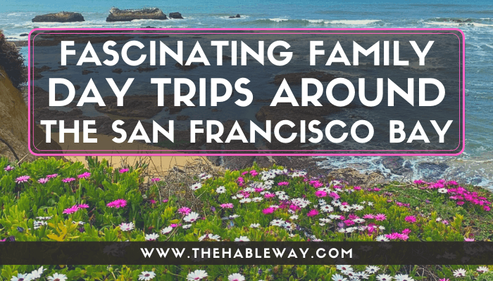 Fascinating Family Day Trips Around SF Bay Area, CA