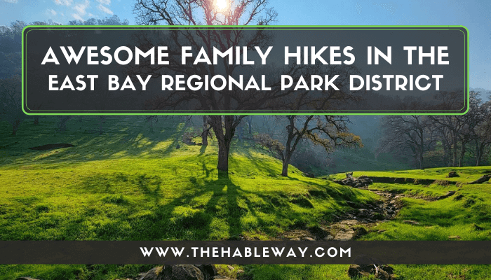 Awesome Family Hikes In The East Bay Regional Park District