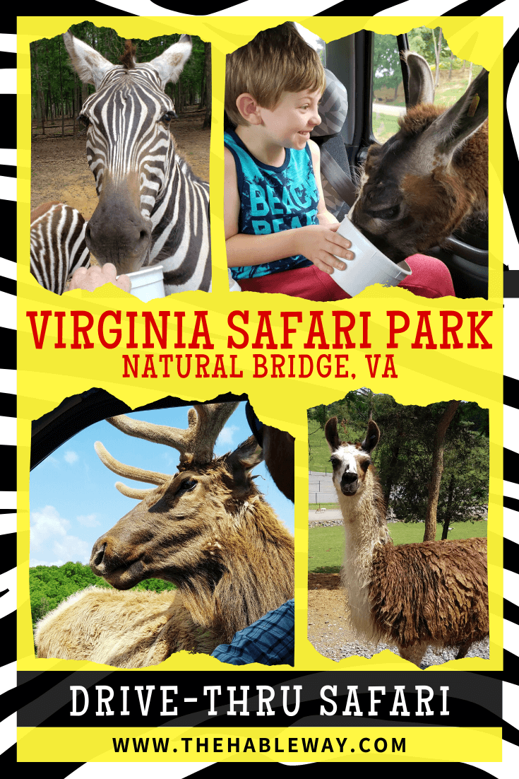 safari tour virginia