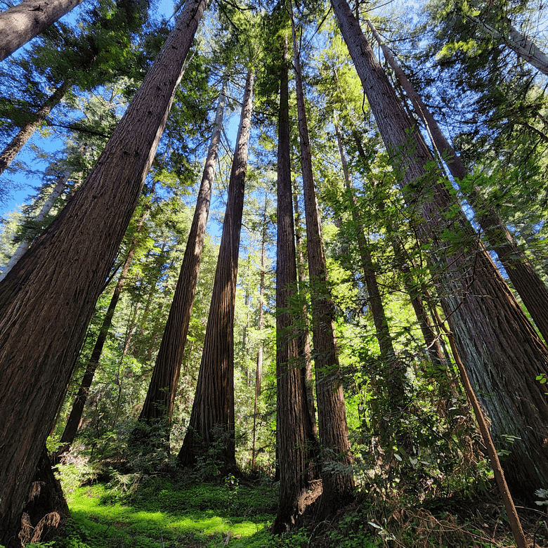 Fascinating Family Day Trips Around SF Bay Area, CA – The Hable Way